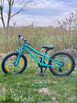 Specialized Hotrock 20 barva Acid Mint / Black
