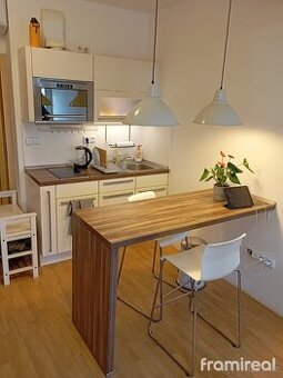 Pronájem byty 1+kk, 25 m2 - Brno - Židenice, ev.č. 01760