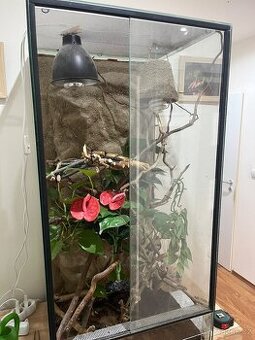 Terarium - 1