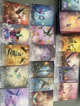 Karty kolibříků (tarot) - 1
