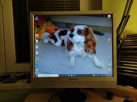 LCD monitor 19" Samsung SyncMaster 911NT