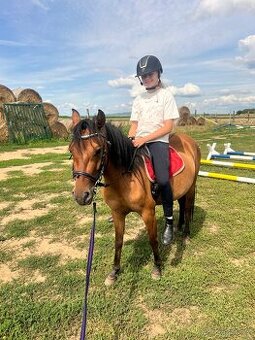 Klisna felinsky pony 125cm