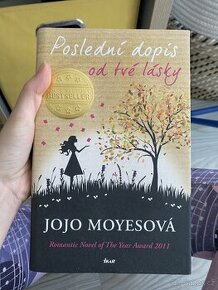 Kniha poslední dopis od tvé lásky