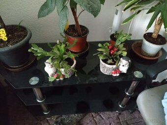 Tel.stolek prosklený