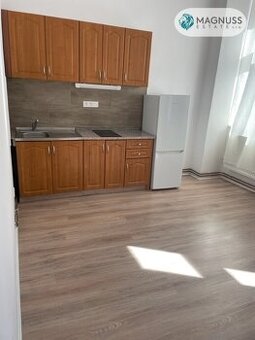 Pronájem bytu 1 + kk 25 m² na adrese Denisova