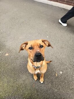 Max hledá domov - 1