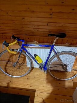 Pinarello Radius Campagnolo