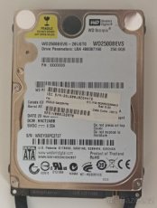 250GB notebook disk 2,5"