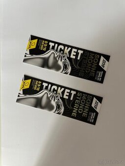 2 x SONNEMONDSTERNE FESTIVAL TICKET 2025 - 1