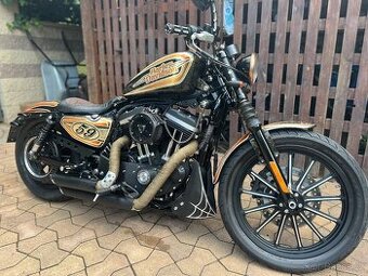 Harley Davidson Sportster iron 883 Goaart custom