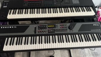 Kurzweil PC1x