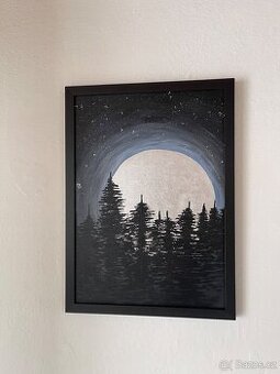 Obraz Tajemná noc