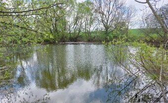 Prodej rybníku – vodní plochy, 12 045 m², Krásensko (Vyškov)