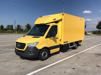 Řidič/ka - skupina B na FRIGO Dodávku, rozvoz léčiv po EU