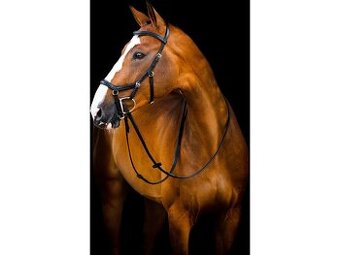 Uzdečka Rambo Micklem Deluxe Competition 2, s otěžemi, černá