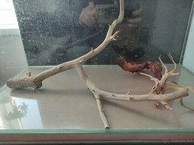 Kořeny do akvária - 1