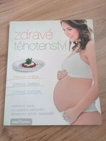 Kniha Zdravé těhotenství - 1