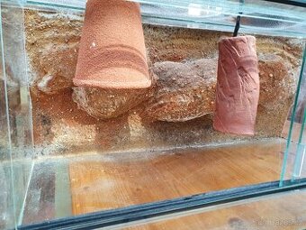 Terarium 80x40x34 želva, agama, gekon