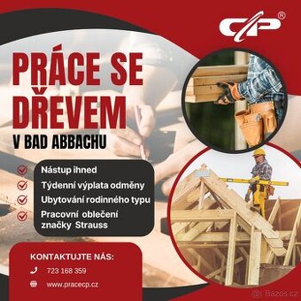 Práce se dřevem bez vyučení s týdenní výplatou - až 3800 EUR