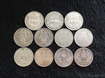 11 kusů 1 korun Rakousko Uhersko, každá mince jiná