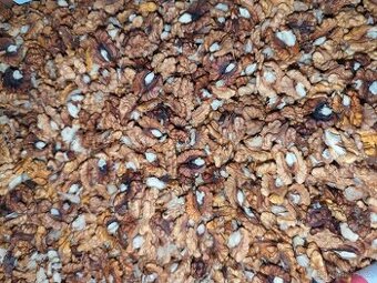 Prodám loupané vlašské ořechy