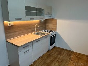 Pronájem bytu 2+1 (56m2)