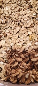 Loupané vlašské ořechy letošní sběr - 1