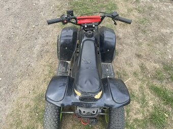 Prodam dětskou čtiřkolku 110ccm automat