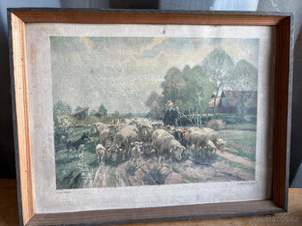 Obraz - Arnold Moeller - Schafherde im moos
