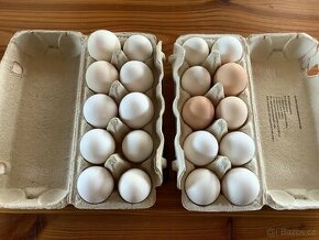 Prodám domácí vajíčka - 1