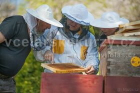 Včelařský kurz - jak začít včelařit