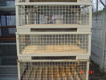 Kupim gitterbox palety - 1