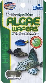 HIKARI ALGAE WAFERS - 1