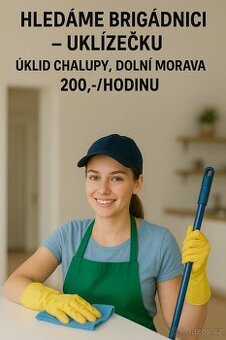 Úklid chalupy - pokojská - Dolní Morava