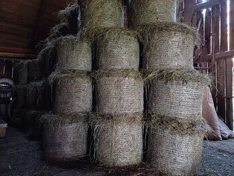 Balíky sena, malé kulaté, vázané v síti