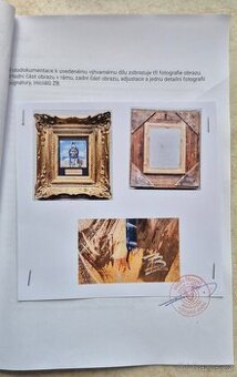 OBRAZY - VYHOTOVIM ZNALECKÉ POSUDKY