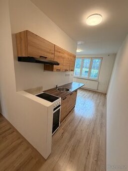 Pronájem bytu 2+1, ul. Školní pěšina, Chomutov, TOP STAV 