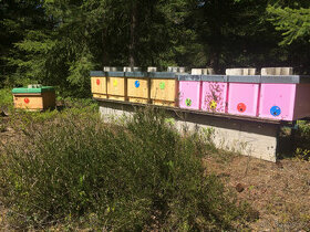 Včelí oddělky 39x24 (6 rámků) - příjem objednávek