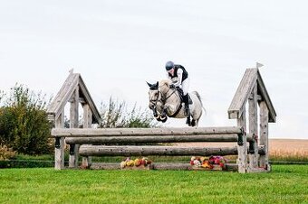 Pony valach do sportu