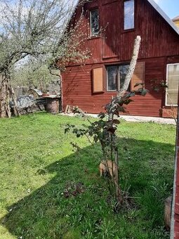 Prodej zahrady s chatkou v Ostravě-Kunčicích