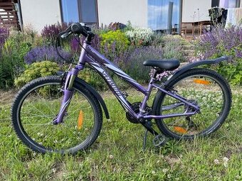 Specialized 24