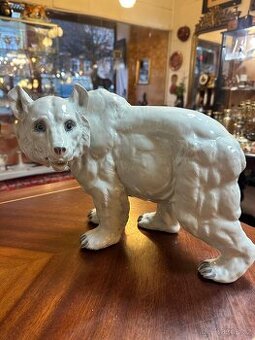 Lední medvěd Haas & Czjzek 1932