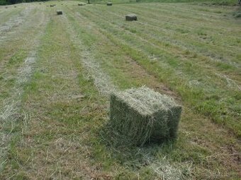 Seno, sláma, malé balíky