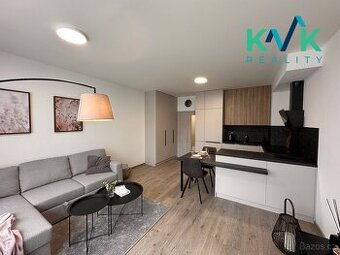 Pronájem bytu v novostavbě BD, v dispozici 1+kk, celková plo