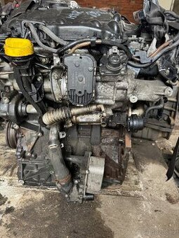 Renault trafic,opel vivaro,nissan 2.0dci motor