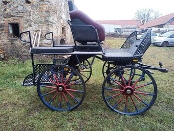 Maratoňák - jednospřeží, pony , koně