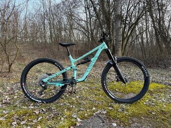 Canyon Torque Mullet AL 5