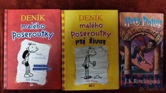Harry Potter, Deník malého poseroutky