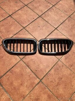 Ledviny na BMW G31