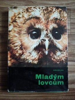 Mladým lovcům